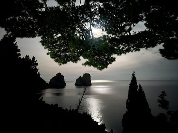 What a Neuron Teaches Us About Computation's Limits